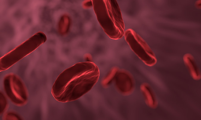 Células sanguíneas (glóbulos rojos o hematíes)