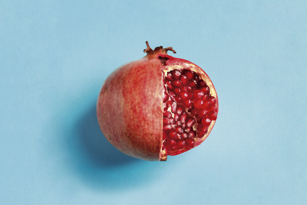 Libro "Nueva guía para vegetarianos"